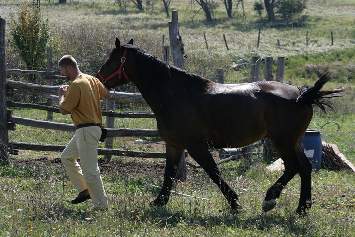 Péter és csillag.