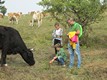 Őszi séta: Csillag szelídítés